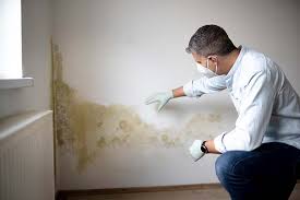 Best Mold Odor Removal Services in Burlington, IA